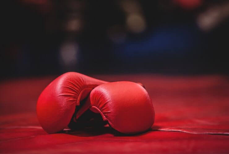 best budget boxing gloves for beginners
