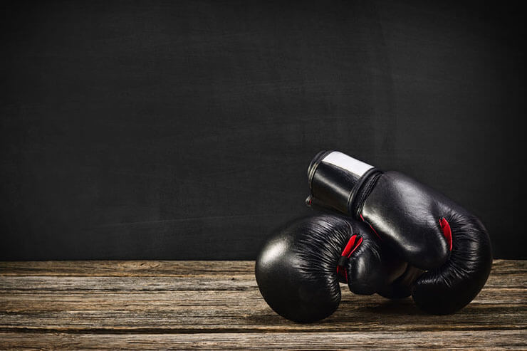Best Muay Thai Gloves