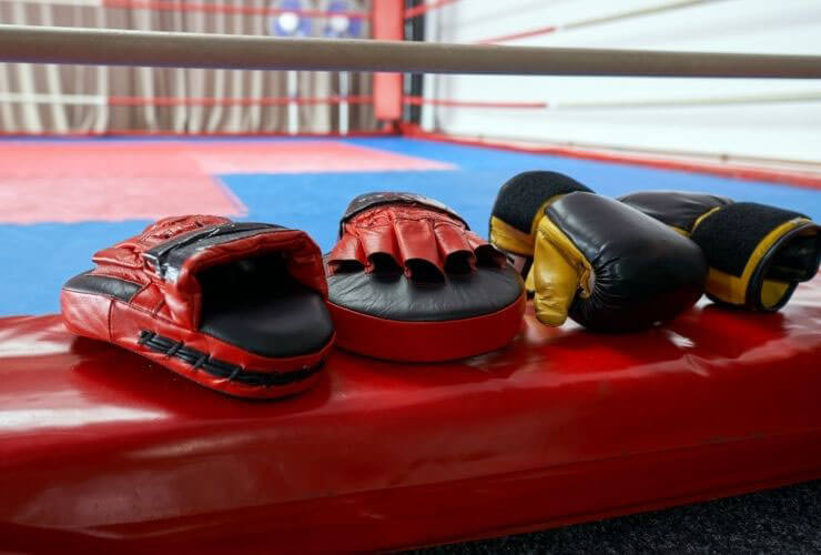 focus mitts for punch training