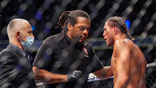 Herb Dean mixed martial arts referee for UFC