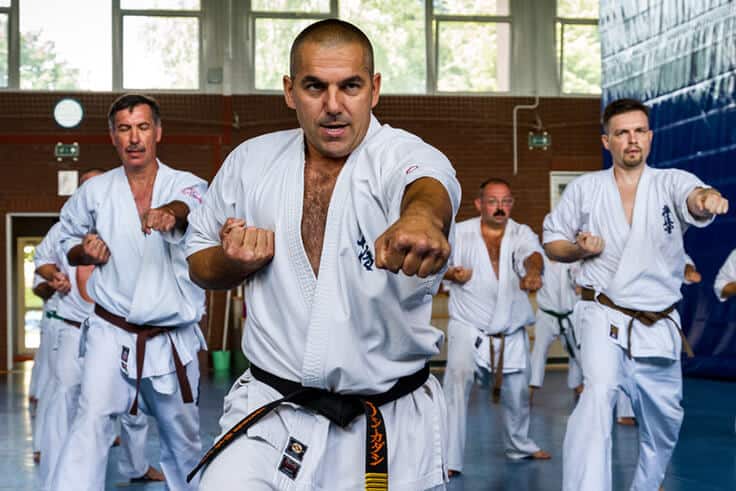 Kyokushin Karate is effective defensive style